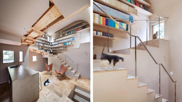 Японцы создали идеальный дом для кошек: люди в нем тоже могут жить