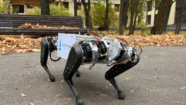 В МГУ создали робопса 2.0: на что способна отечественная новинка