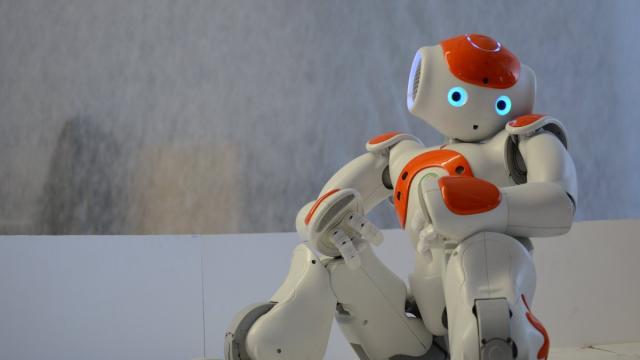 Люди VS роботы: новое исследование сравнило 27 роботов-гуманоидов с людьми