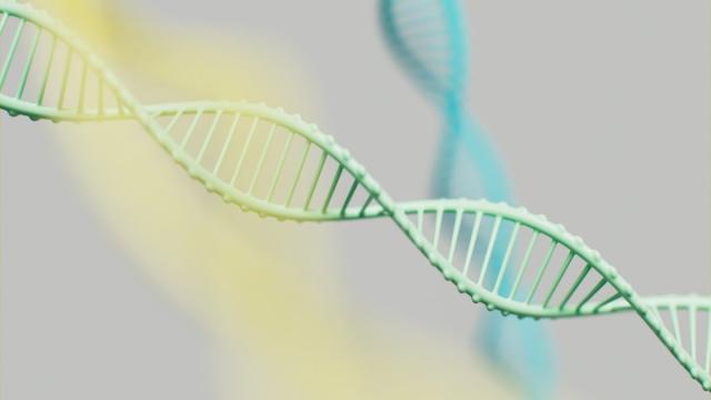 Объявлена цена первой в мире ДНК-флешки