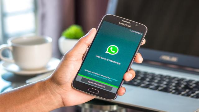 В WhatsApp на iOS появится возможность входить в аккаунты без пароля