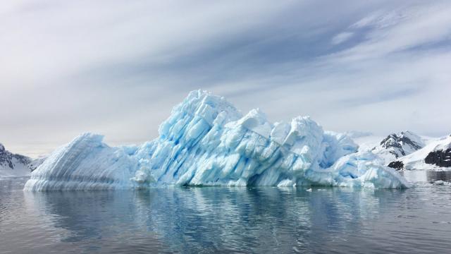 Какие экологические последствия влечет за собой исчезновение ледников