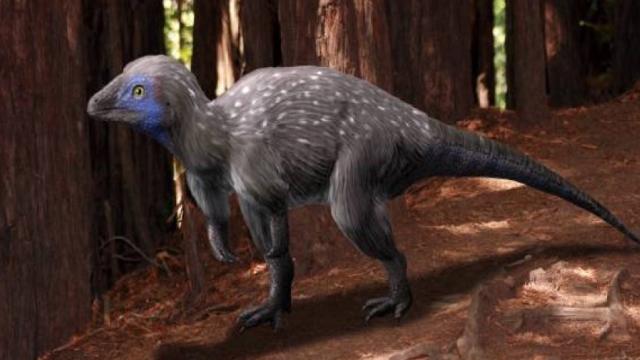 Почему у русских динозавров был свой особый путь: Топ-5 отечественных ископаемых монстров, которые внесли вклад в мировую науку