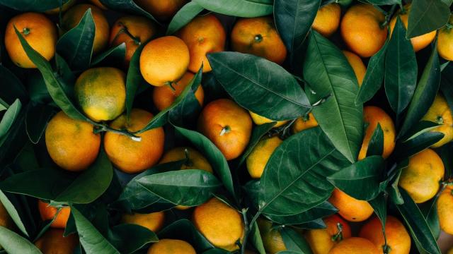 Российские врачи рассказали, сколько мандаринов можно съедать в день