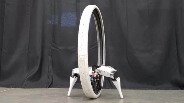 Видео: как выглядит «колесо на ножках»