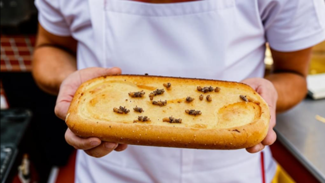«Это нормально»: в «Сколково» испекли хлеб с личинками
