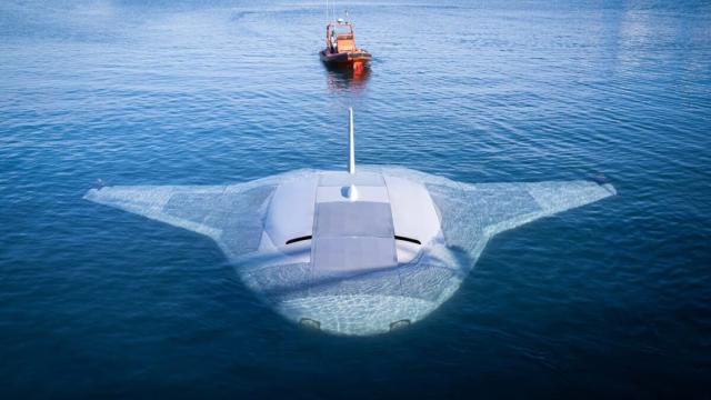 Секретный подводный дрон американцев позирует на живых фото