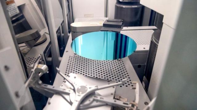 Началу строительства предприятий Micron в Нью-Йорке мешают летучие мыши