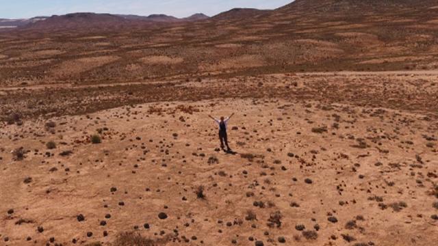 Ученые нашли самые старые в мире гнезда термитов — им более 34 тысяч лет