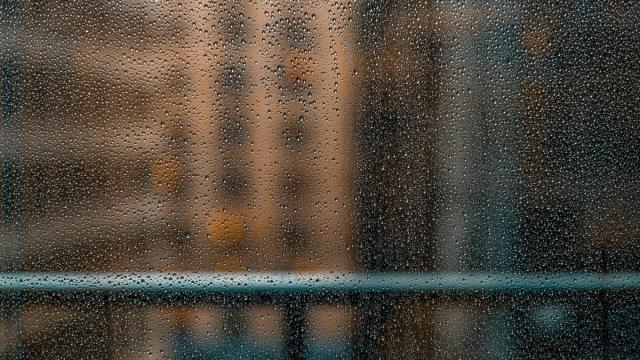 Из-за человека дожди на Земле кардинально изменились