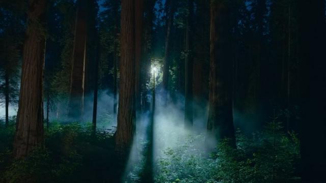 В macOS Sequoia появилось ещё больше новых обоев