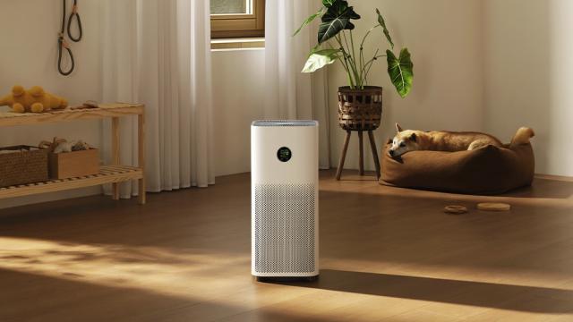 Xiaomi представила новый очиститель воздуха MIJIA Air Purifier 5. Он избавит вас от аллергии