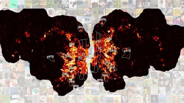 Исследование: люди мыслят во многих измерениях одновременно