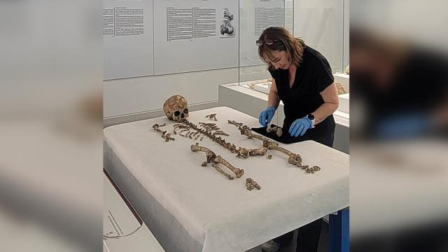 Как жили подростки Ледникового периода: ответ ученых