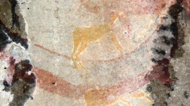 Новая загадка: африканские наскальные рисунки изображают давно вымерших животных