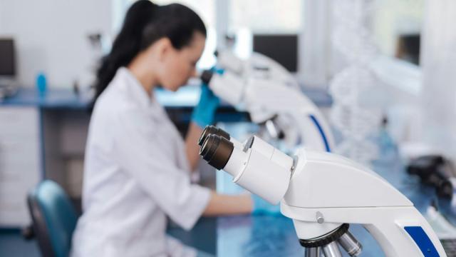 В России создали живую «кожу-на-чипе»