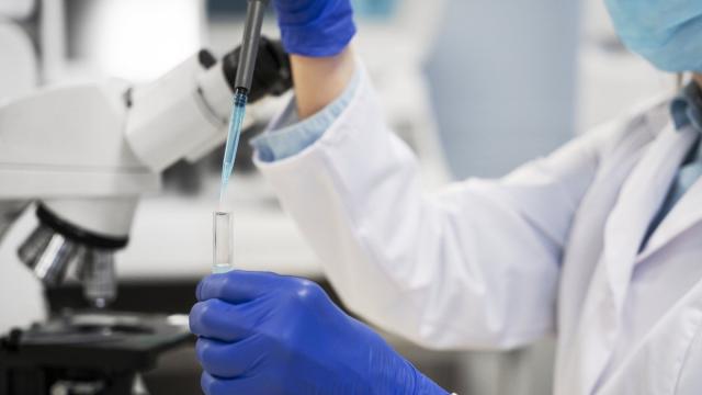 В России создали «идеальные» молекулы для производства лекарств