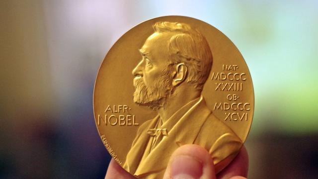 Объявлены первые лауреаты Нобелевской премии 2024 года