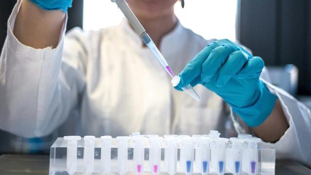 Созданные искусственным интеллектом белки могут изменить медицину и материалы