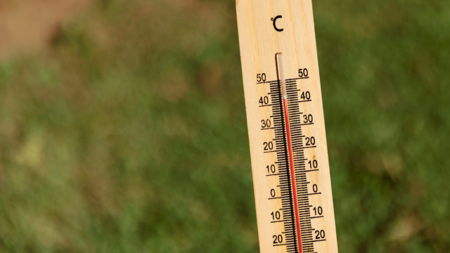 Антирекорд: 2024 год станет самым жарким в истории