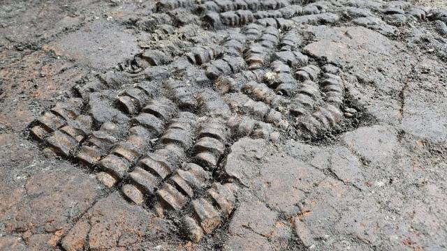 В Нидерландах нашли загадочный древний пол из костей