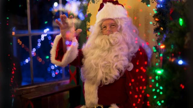 ИИ-Санта, игра про Дурова и развлечения дельфинов: фан-новости недели