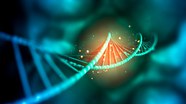 Исследование: остатки древних вирусов в ДНК защищают человека от смерти