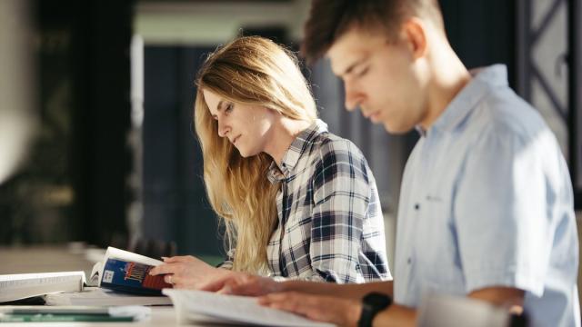 Мошенники притворяются деканатом и обманывают студентов через Госуслуги