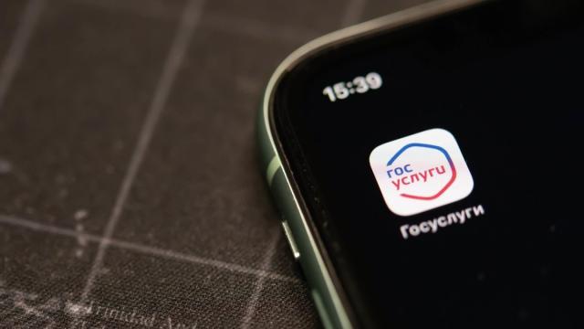 На Госуслугах появились личные достижения: как посмотреть свои