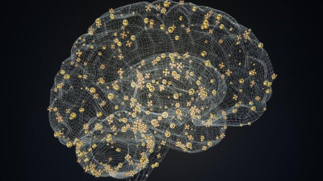 Ученые: терапия синдрома Плюшкина влияет на мозг