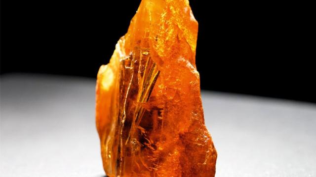 В России нашли уникальный янтарь с иголками сосны: им 50 млн лет