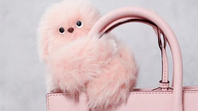 В сети завирусился Мируми — пушистый робот-компаньон с характером младенца