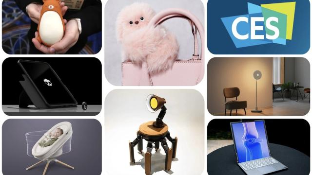 Галерея: 25 сумасшедших гаджетов CES 2025