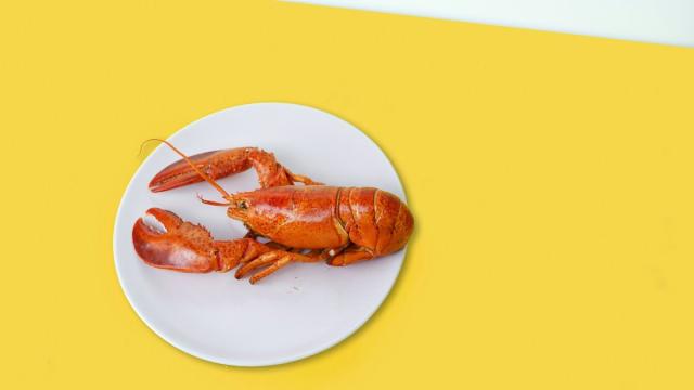 Где построят крупнейшую в мире ГЭС, и безопасно ли есть морепродукты? Дайджест