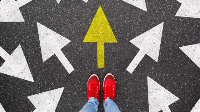 Как люди принимают самые важные решения в жизни – ответ ученых