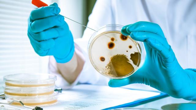 Разработка ученых заставит микробы колонизировать космос и делать лекарства