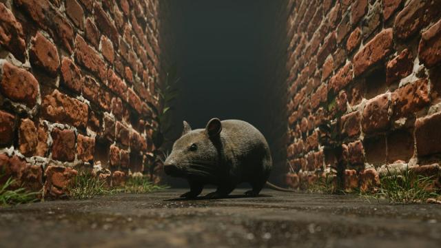 Российские ученые открыли новый вид гимнуры (фото)