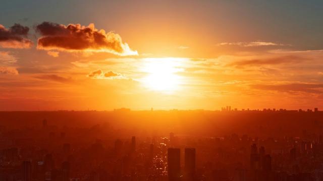 Эксперты признали 2024 год самым жарким за всю историю наблюдений