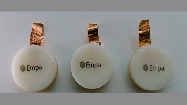 Электрические грибы: биобатарея, которую достаточно просто кормить