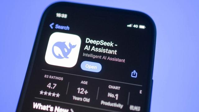 В Южной Корее запретили скачивать DeepSeek