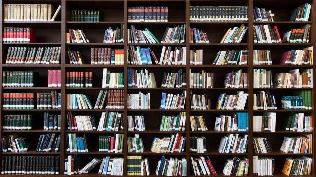 Тест: готовы проверить, насколько далеко простирается ваш интеллект?