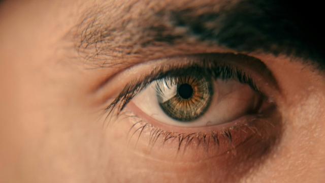 Neuralink вернет зрение слепому человеку: когда проведут эксперимент