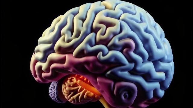 Инсульт в прямом смысле разрушает клетки мозга при помощи глутамата