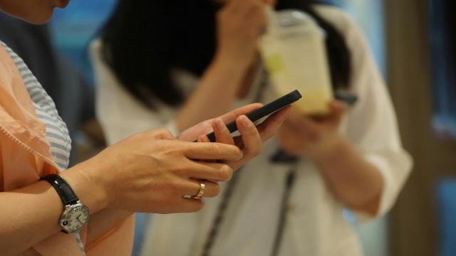 Минцифры пообещало не запрещать мессенджеры в России, но регулирование ужесточит