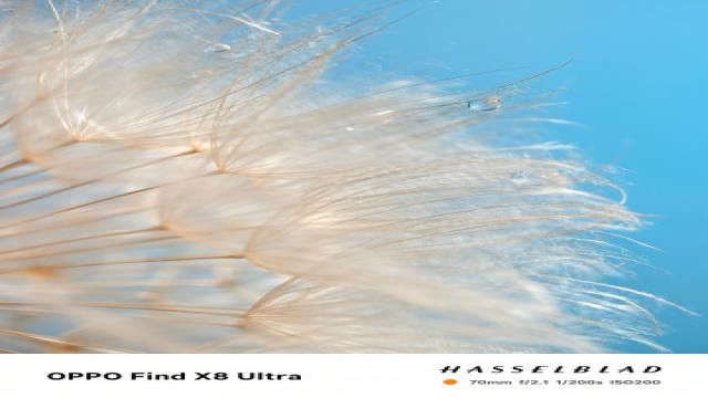 OPPO показала макро-снимки Find X8 Ultra, но есть подвох