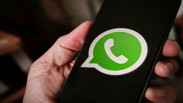 WhatsApp перенял ещё одну «фишку» Telegram — пользовательские наборы стикеров
