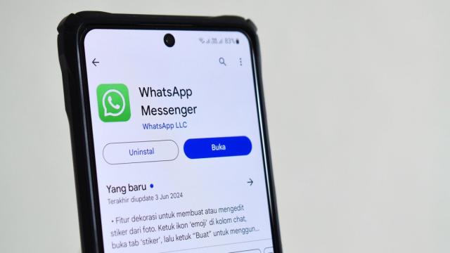 Аудитория WhatsApp впервые превысила 3 млрд человек в месяц