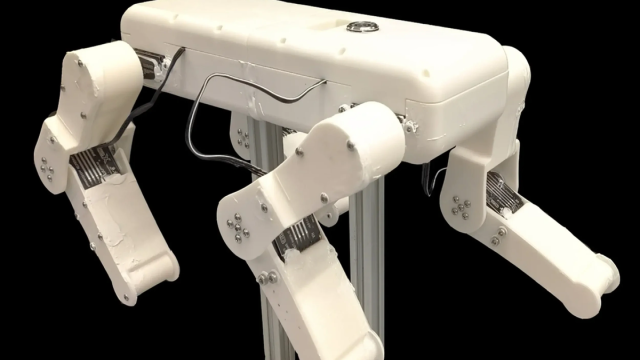 Вода больше не помеха: робота-собаку научили плавать по-новому