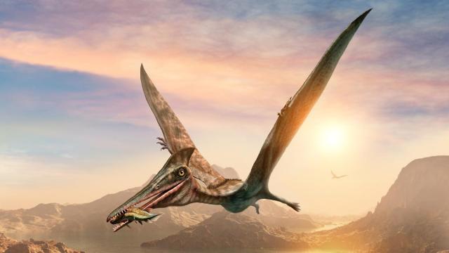 Неизвестная жизнь птерозавров: как древние летающие рептилии покорили землю