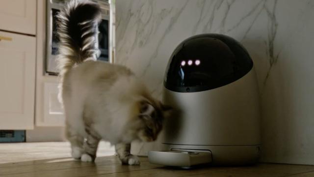 Sphinx S1: представлена самая навороченная кормушка для кошек